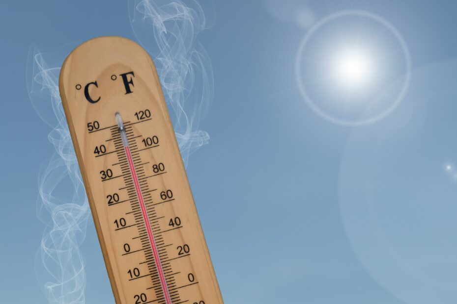Canicule
