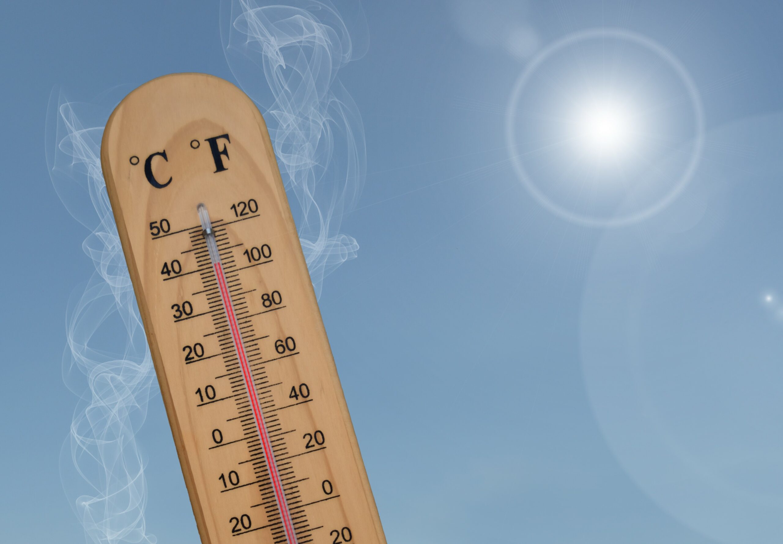 Canicule